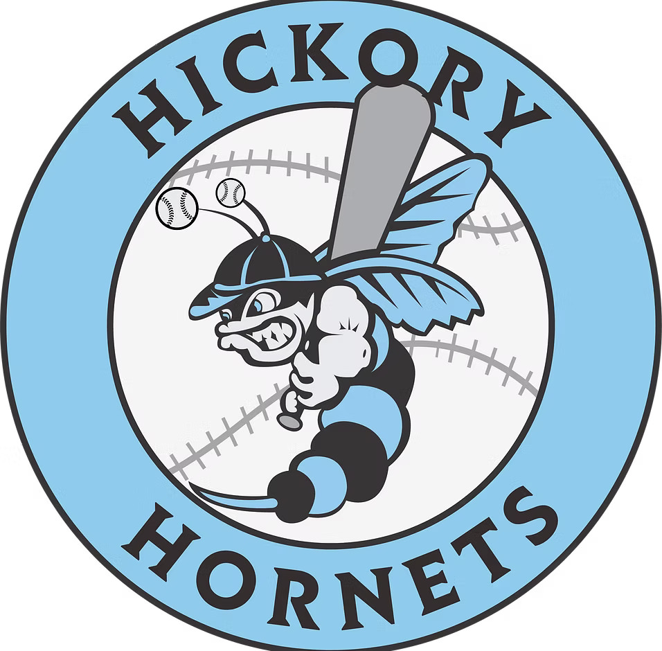 4187_hickory_hornets_logo_BJ-01